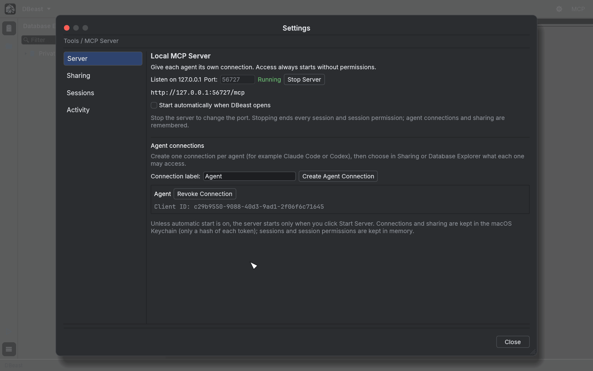 MCP Server settings with a running server and one agent connection